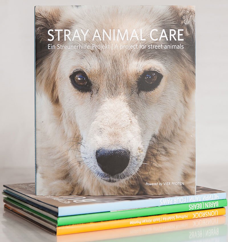 Flamacon Buch: Tierschutz - Stray Animal Care