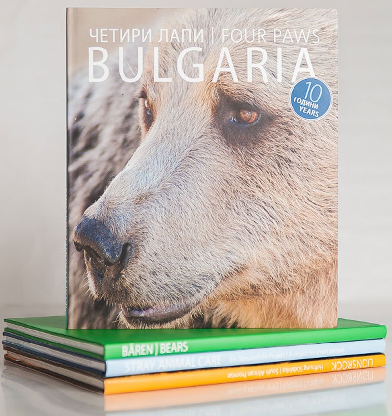 Flamacon Buch: Tierschutz - Bulgarien