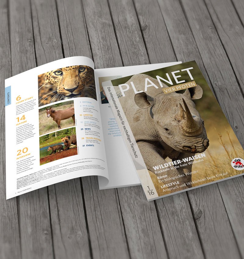 Flamacon Corporate Publishing: Planet